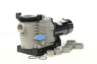 Blue Torrent 1.5 HP Pro Series 2 Speed Pool Pump, 230V