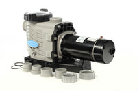Blue Torrent 1.5 HP Pro Series 2 Speed Pool Pump, 230V