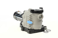 Blue Torrent 1.5 HP Pro Series 2 Speed Pool Pump, 230V