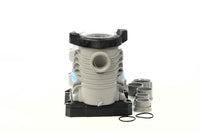 Blue Torrent 1.5 HP Pro Series 2 Speed Pool Pump, 230V