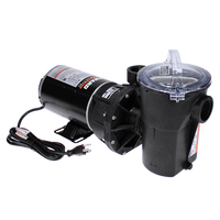 Hayward ProSeries Above-Ground Pool Sand Filters With Pump