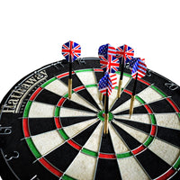 Winners Choice 18-in Sisal Fiber Bristle Dartboard