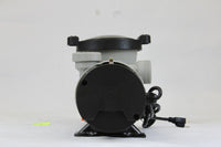 Blue Torrent Hurricane 1.5 HP Dual Port Above Ground Swimming Pool Pump