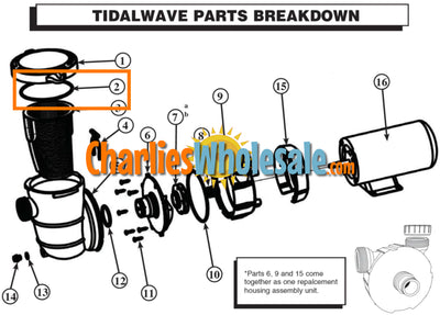 Replacement Part NEP2135 Part #2 PUMP LID O-RING for Maxi Pump