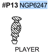 Replacement Part NGP6247 Dark Player